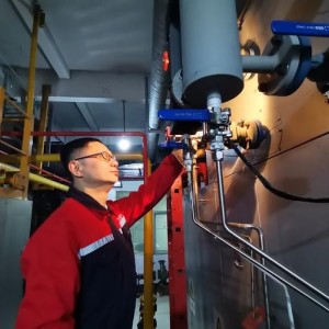生物质锅炉全套标准化安装施工服务